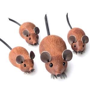 Mouse family