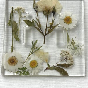 Doppel und Einfach Schalter Platte Set mit Trockenblumen in verschiedenen Farben