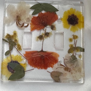Double switch plate cover: Butterfly, and Pink and beige, Daisy white and Orange and yellow