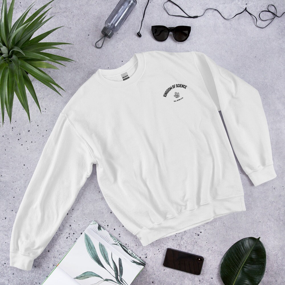 【SATIIIZ】Paz V-neck embroidery sweatshirt Dibes oversized sweatshirt - satiiiz
