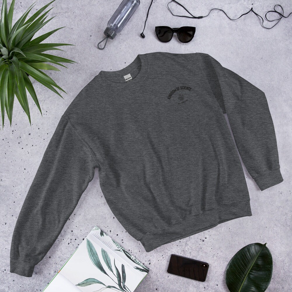 【SATIIIZ】Paz V-neck embroidery sweatshirt Zaotify All Embroidered Products