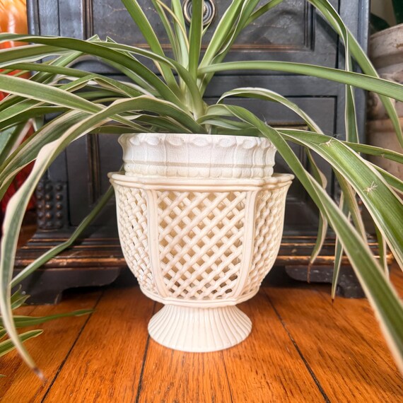 monstera small Monstera Deliciosa Houseplants, Medium in Bubblegum main image 1