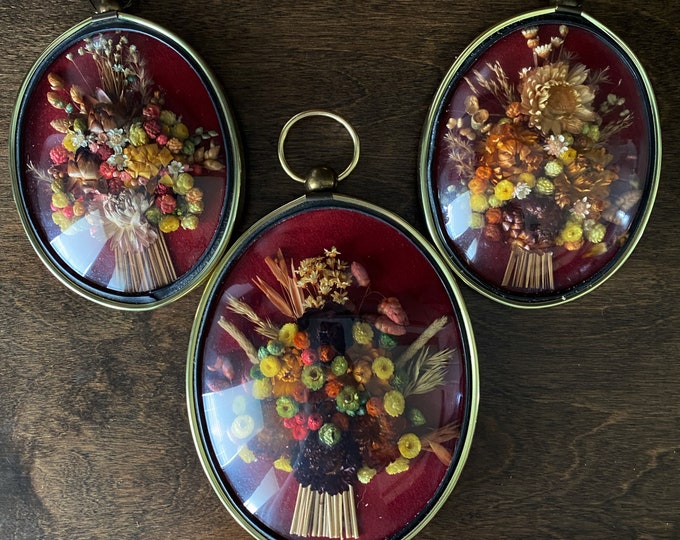 Vintage Dried Flower Wall Decor, Trio Behind Domed Glass, Gallery Wall