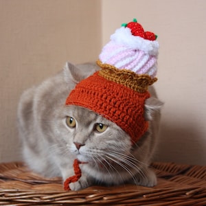 Cat hat with cake and strawberries,  Pet accessories,  Cat clothes,  Cat lover gift, Crochet cat hat, sweets