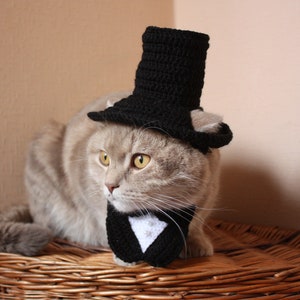 Hat for a cat, black hat, cat gentleman, collar with bow tie, bow tie for the cat, Funny Cat Accessories, cats hat, Wig for cat