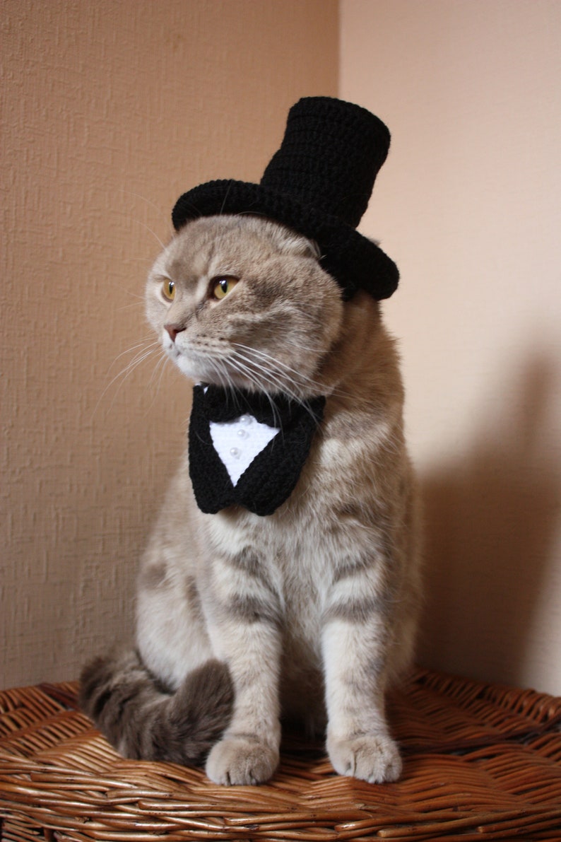 Hat for a Cat Black Hat Cat Gentleman Collar With Bow Tie - Etsy