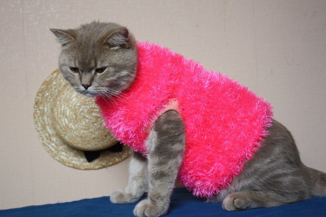 Sweater for cat pink sweater crochet pet sweater fluffy Etsy