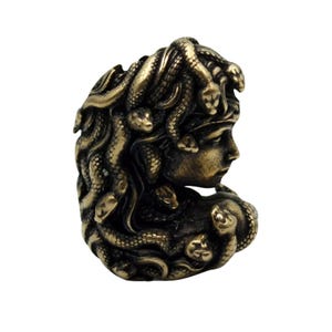 Puede incluir: Una estatua de bronce de Medusa, la figura mitol&oacute;gica griega con serpientes por cabello. La estatua est&aacute; detallada con serpientes y una cara humana.