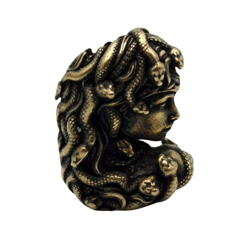 Puede incluir: Una estatua de bronce de Medusa, la figura mitol&oacute;gica griega con serpientes por cabello. La estatua est&aacute; detallada con serpientes y una cara humana.