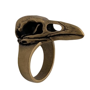 May include: A bronze-toned metal ring featuring a detailed bird skull design. The skull has a prominent beak, hollow eye sockets, and a weathered, textured finish. The band is smooth and circular, connecting to the base of the bird skull ornament.