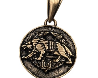 Collar con colgante de lobo de las Fuerzas Especiales del ejército ucraniano para hombre, regalos militares, joyería ucraniana