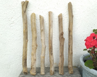 Driftwood pieces for crafts, driftwood, driftwood supply, natural driftwood, sea driftwood, driftwood for terrarium, driftwood for crafts