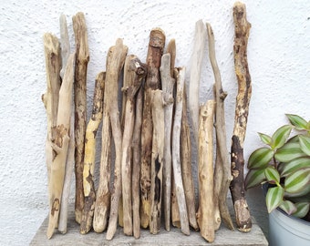 Pounds 3 Bulk Driftwood Medium Box of Driftwood 11\u201dx8\u201dx5\u201d