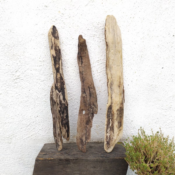 Driftwood pieces, driftwood for crafts, driftwood supply, sea driftwood, driftwood boards,driftwood signs,bulk driftwood,flat driftwood