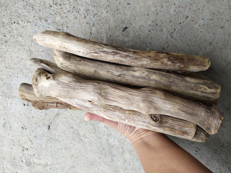 Driftwood Driftwood Pieces for Crafts Driftwood Supply Etsy