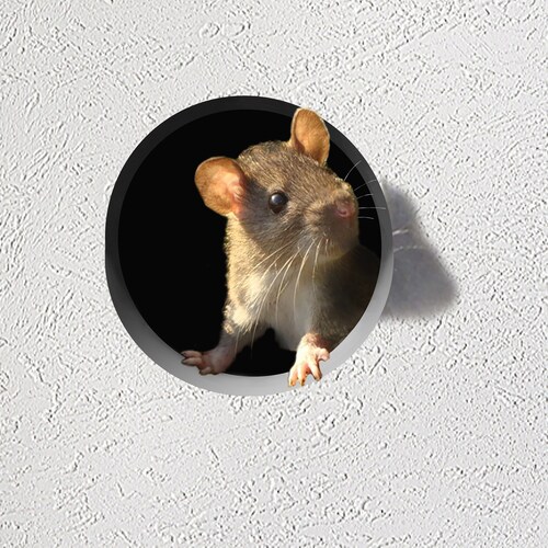 Realistic 3D Mouse Wall Sticker - Etsy