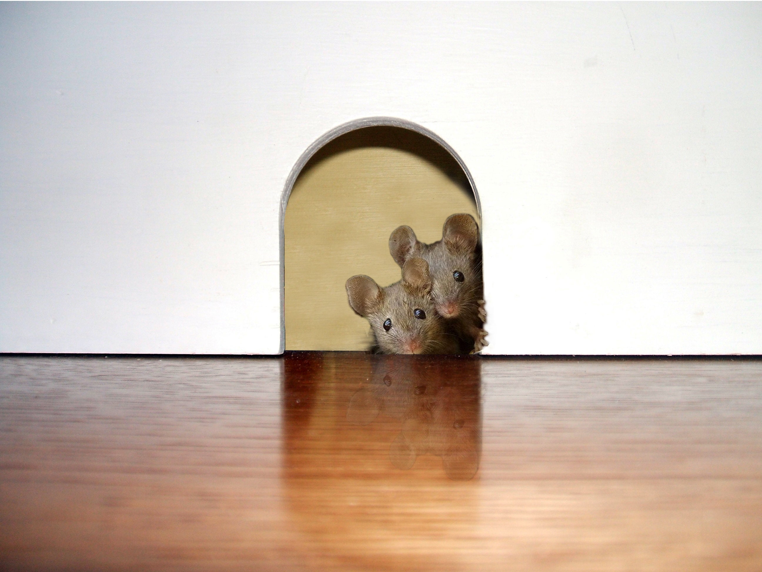 Realistic 3D Mouse Wall Sticker Etsy
