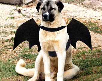 slinky dog costume for dogs