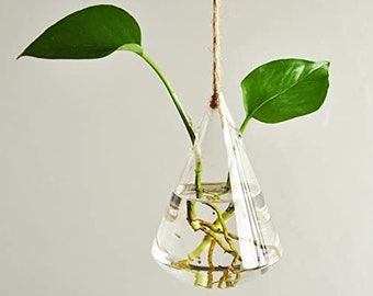 Set of 3 Geometric Hanging Glass Planters, Teardrop Shape, Terrarium Container for Hydroponic Plants