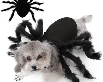 cat spider costume