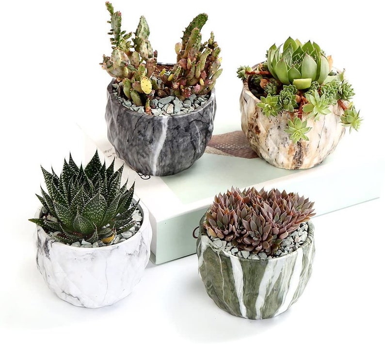 4 Pack Marble Flower Pots Succulent Planters Ceramic Pots Etsy