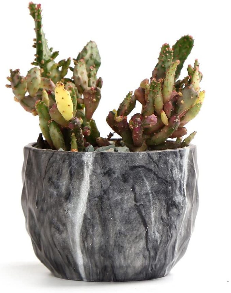 4 Pack Marble Flower Pots Succulent Planters Ceramic Pots Etsy