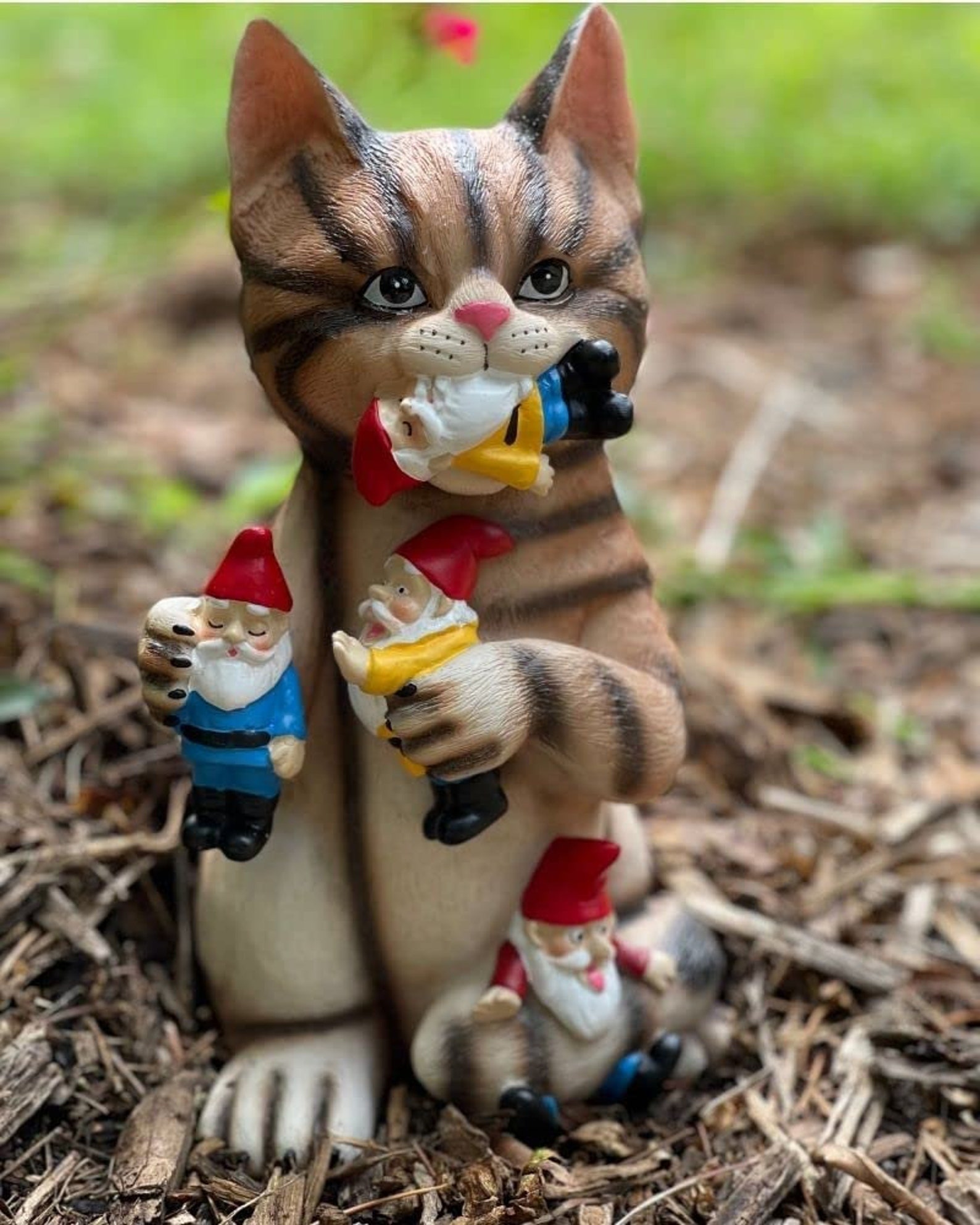 Mischievous Cat Garden Gnome Statue Figurine Best Art Decor Etsy