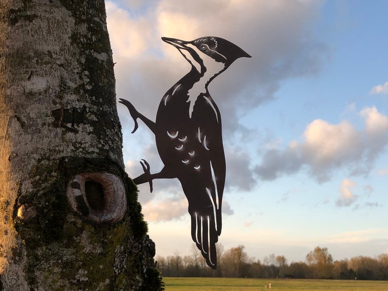 Pileated Woodpecker Metal Bird Art Decoration for Your Yard or Etsy