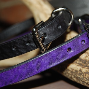 May include: Two leather dog collars, one black and one purple, with silver buckles. The collars are lying on a piece of wood.