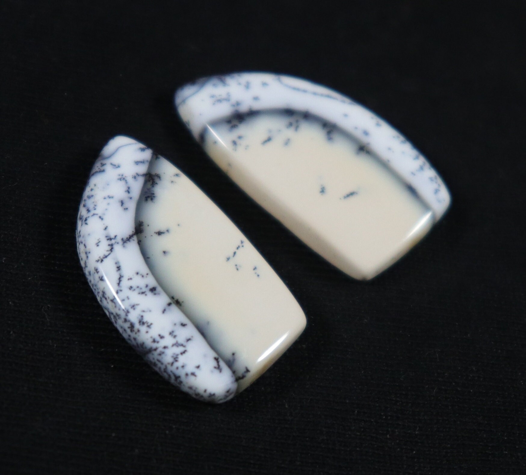 dendrite stone dendrite stone