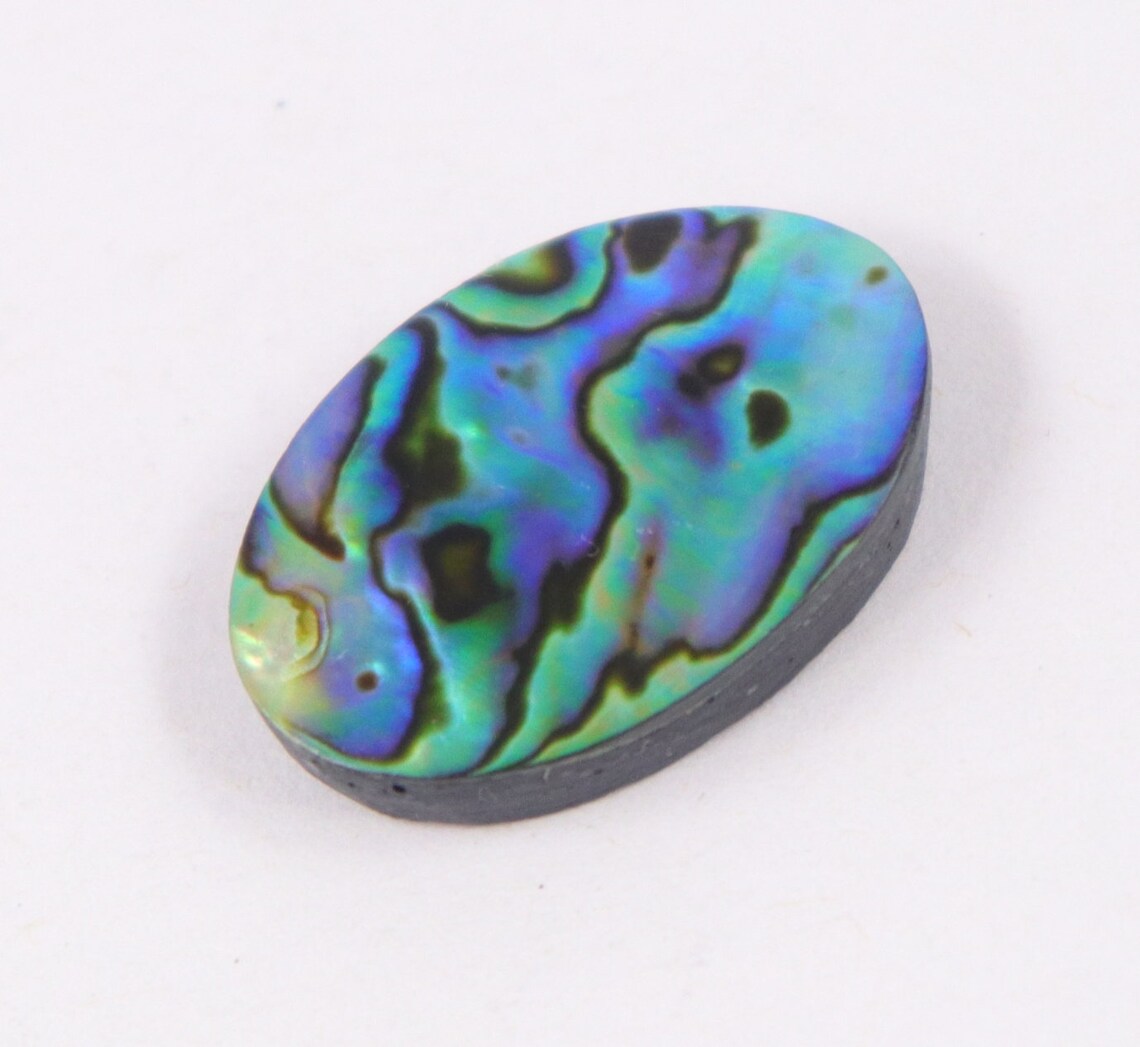 Superb Designer Shiny Australian Abalone Shell Abalone Shell Etsy