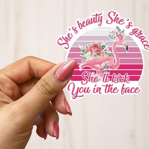 Sassy attitude quotes She&#39;s beauty she&#39;s grace she&#39;ll kick you in the face decal stickers die cut