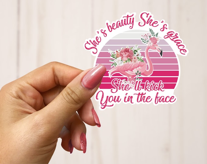 Sassy attitude quotes She's beauty she's grace she'll kick you in the face decal stickers die cut