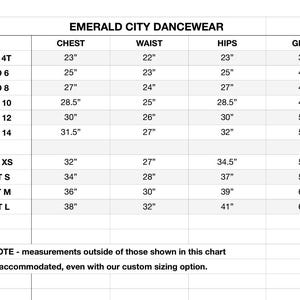 Made to Order Kelsey Dance Set. Girls Dance set, dance photo shoot, Womens Dance Set, girls Dancewear, Womens Dancewear, dance convention image 5