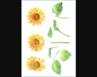 Sunflower Temporary Tattoo Set Summer Floral Tattoo Sheet TATTOO.434