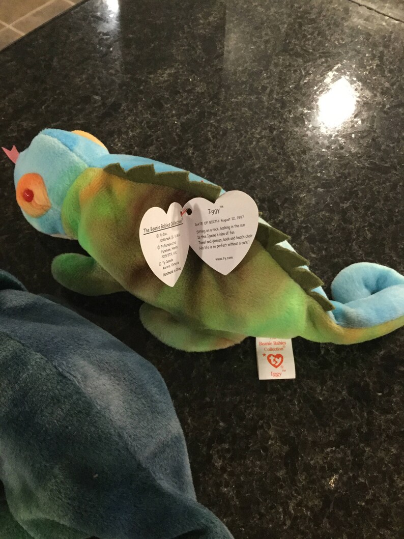 Iggy and Rainbow RARE Ty Beanie Babies Duo - Etsy