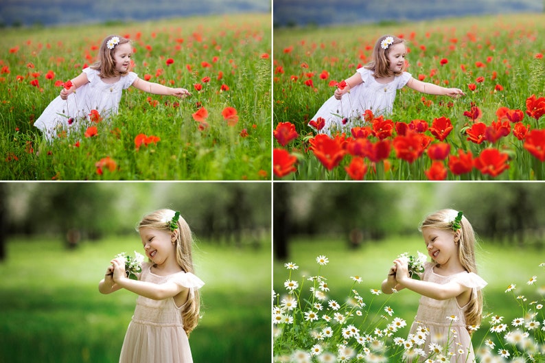 65 Flower overlays photo overlay wildflower Etsy