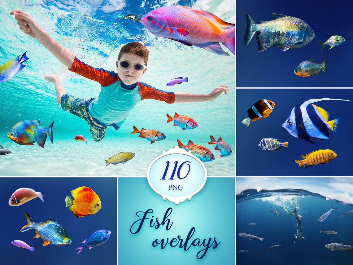 110 Fish overlays sea creature photo overlay photoshop | Etsy