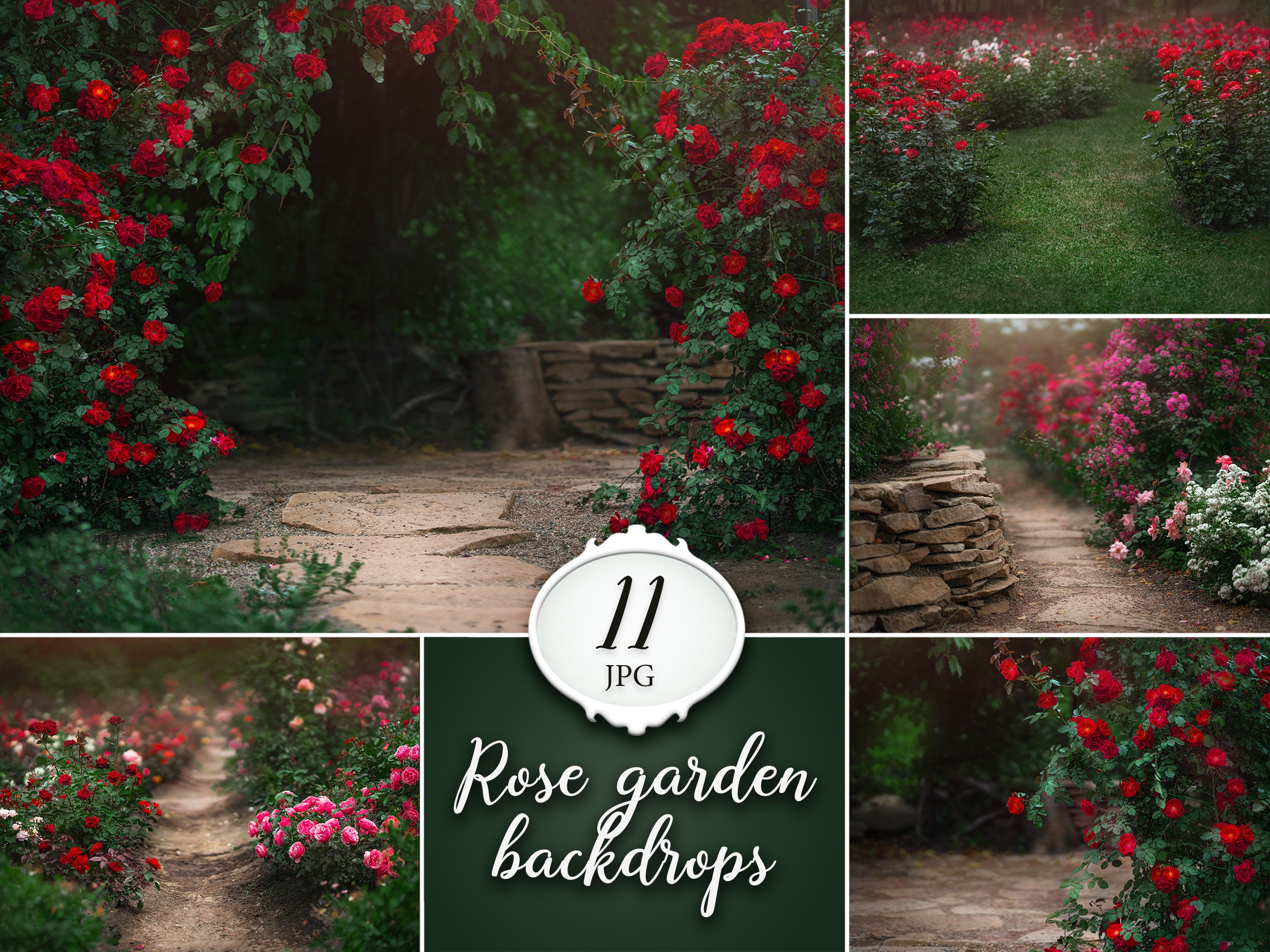 11 Fondos digitales de jardín de rosas fondo de photoshop de | Etsy