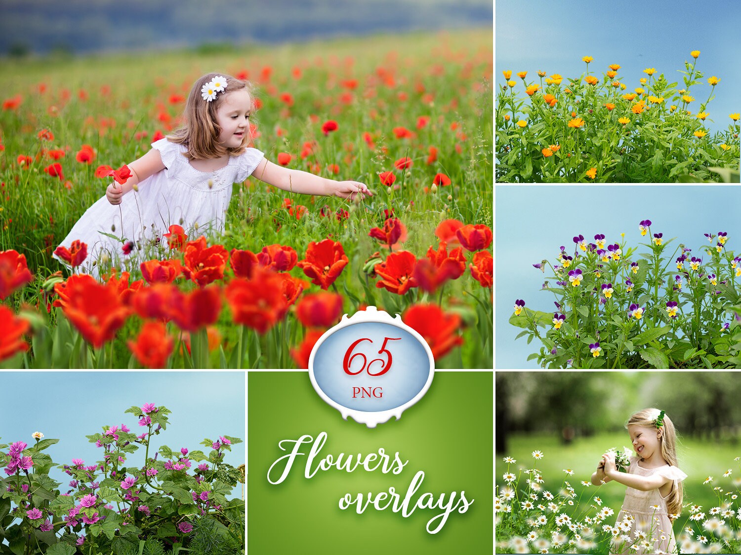 65 Flower photo overlays overlay wildflower Etsy