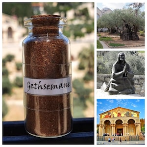 Gethsemane Garden Sand • Soil • Jesus Christ • Jerusalem • Israel • Holy Land