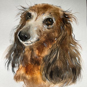 Custom DIGITAL dog portrait watercolor gift for pet lovers realistic pet art from photo memorial dog artwork original dachshund painting