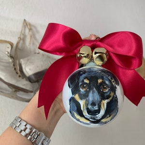 Personalized ornament , Custom pet ornament, Memorial pet ornament, Dog Ornament personalized, Painted by hand image 2