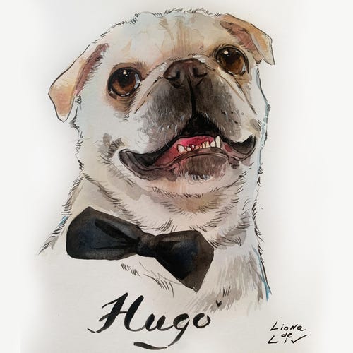Portrait d'animal de compagnie à l'aquarelle personnalisé : cadeau personnalisé peint à la main, prêt à encadrer