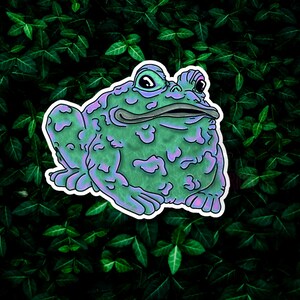 May include: A green and purple cartoon toad with a wide, toothy grin. The toad has a bumpy, textured skin and is sitting on a green leafy background.