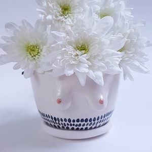 Corina, Ceramic Boob Pot, Plant Pot