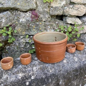 Może przedstawiać: Zestaw brązowych ceramicznych doniczek i małych misek. Największa doniczka ma numer "5". Ułożone są na zwietrzałej kamiennej powierzchni na tle kamiennej ściany z zielonymi liśćmi.