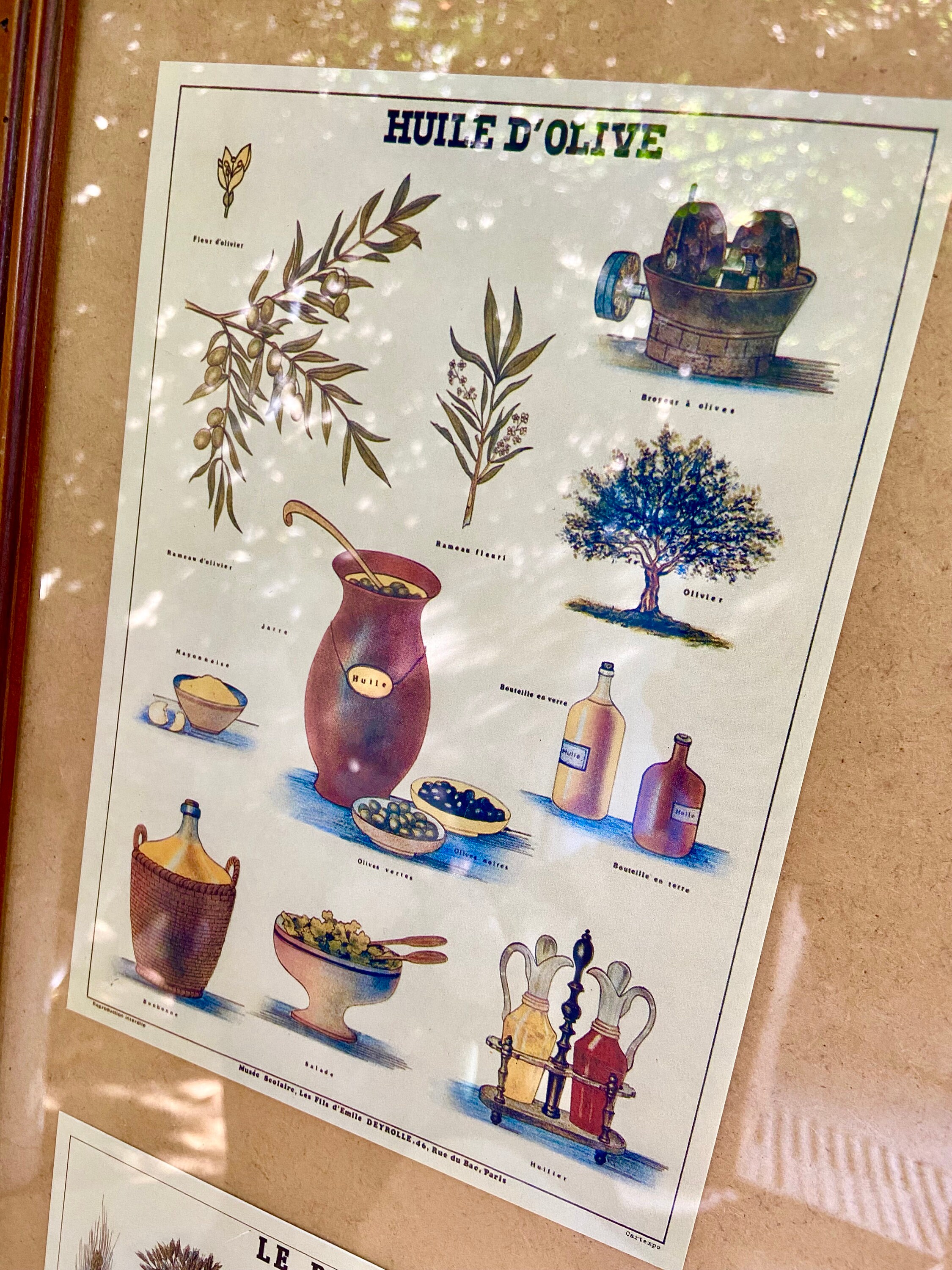 French Provincial educational posters, vintage framed school board