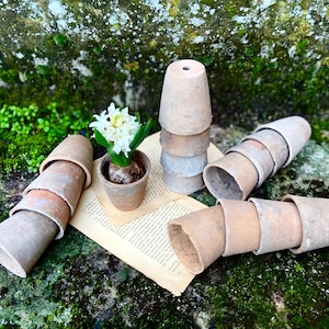 Op de afbeelding: Een verzameling kleine, verweerde terracotta potten op een mosachtig oppervlak. Een stapel potten en een pot met een bloeiende witte hyacint zijn zichtbaar. De scène roept een rustieke, natuurlijke esthetiek op, perfect voor tuinieren of woondecoratie.