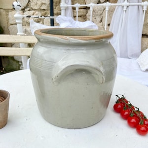 May include: A light grey ceramic crock with a light brown rim and two curved handles. A small terracotta pot with a hyacinth plant and a cluster of red cherry tomatoes are on a white surface.